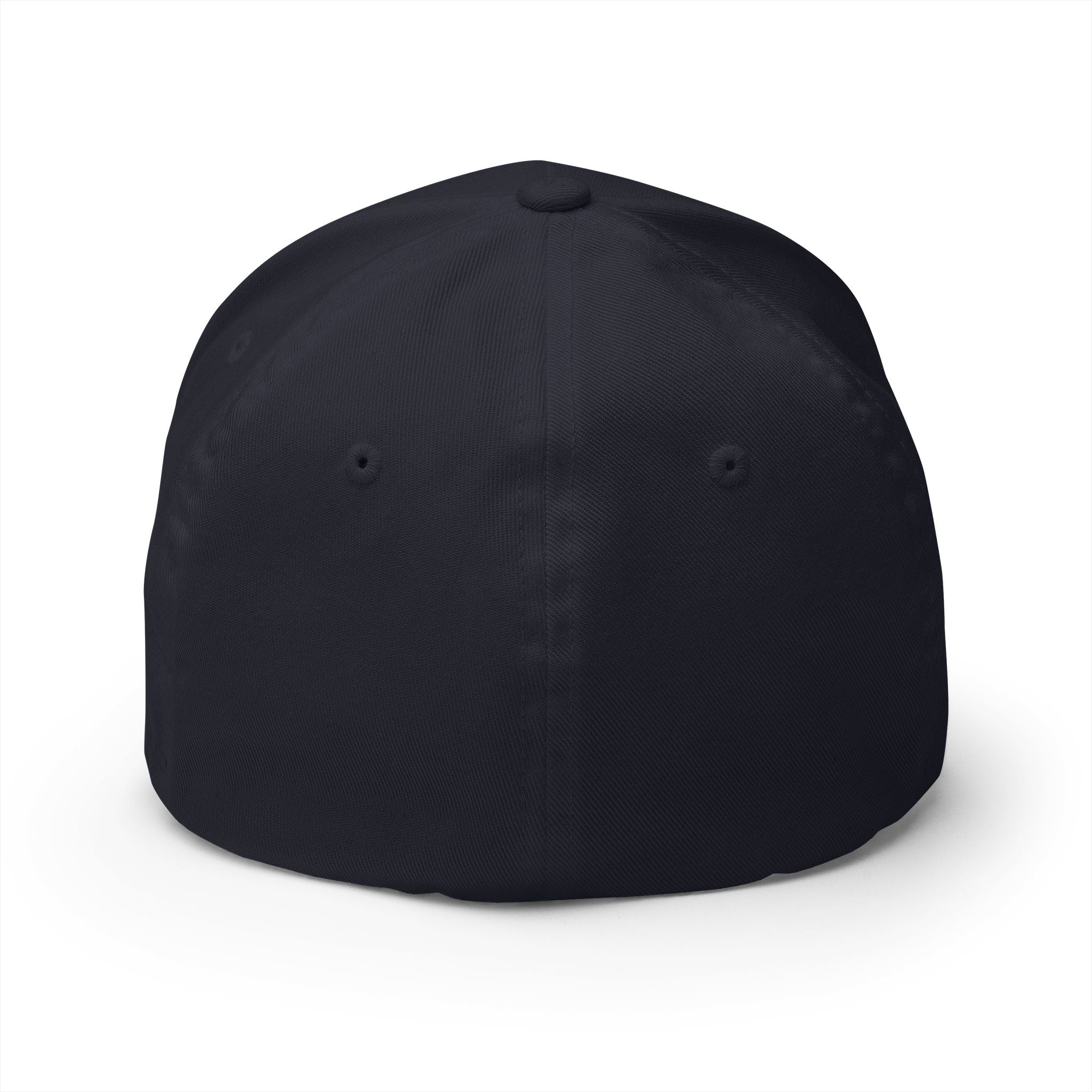 Scotland Blue 'Tartan Army' song lyrics inspired Cap