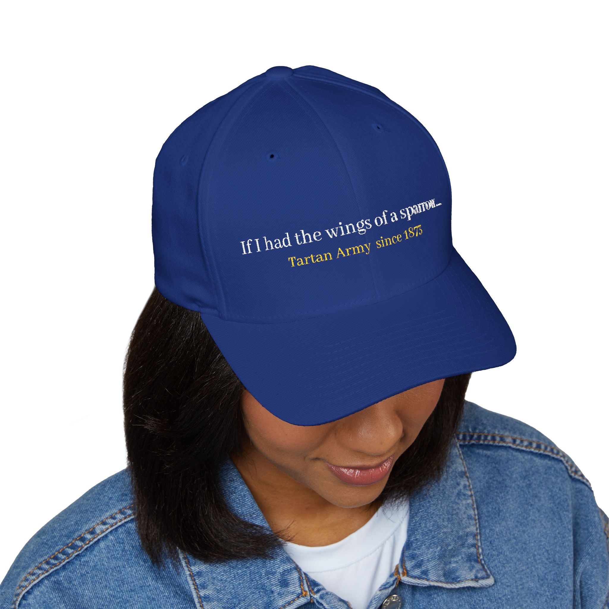 Scotland Blue 'Tartan Army' song lyrics inspired Cap