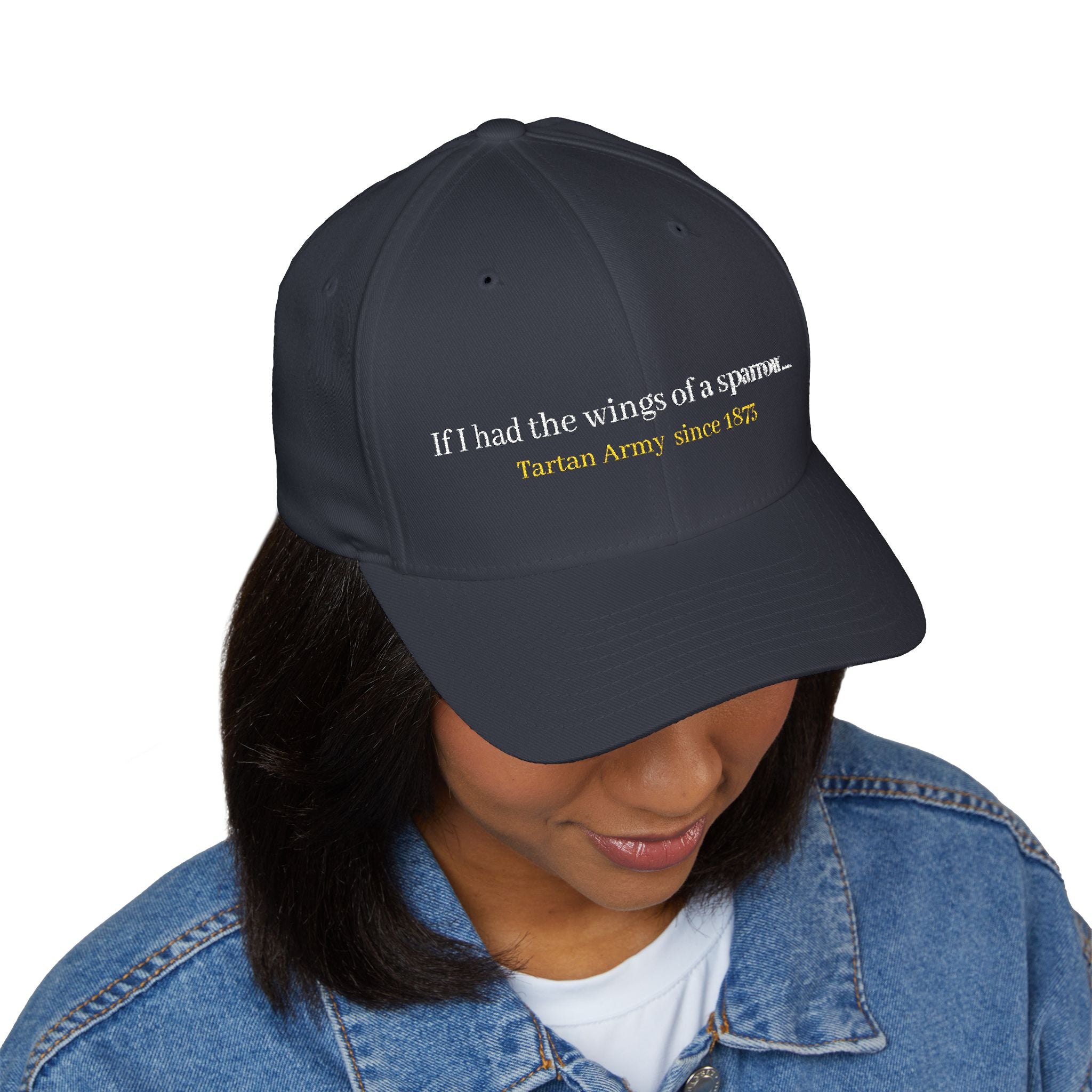 Scotland Blue 'Tartan Army' song lyrics inspired Cap