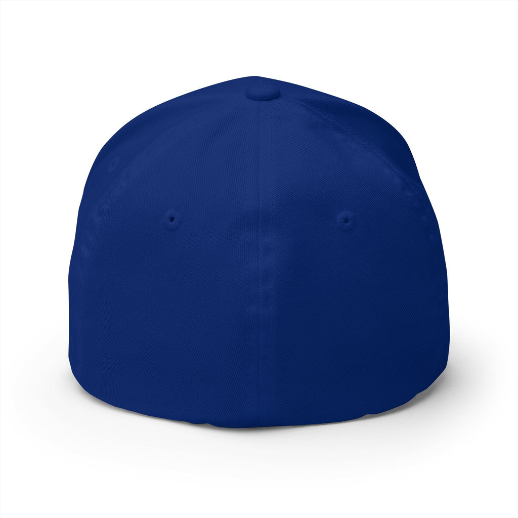 Scotland Blue 'Tartan Army' song lyrics inspired Cap
