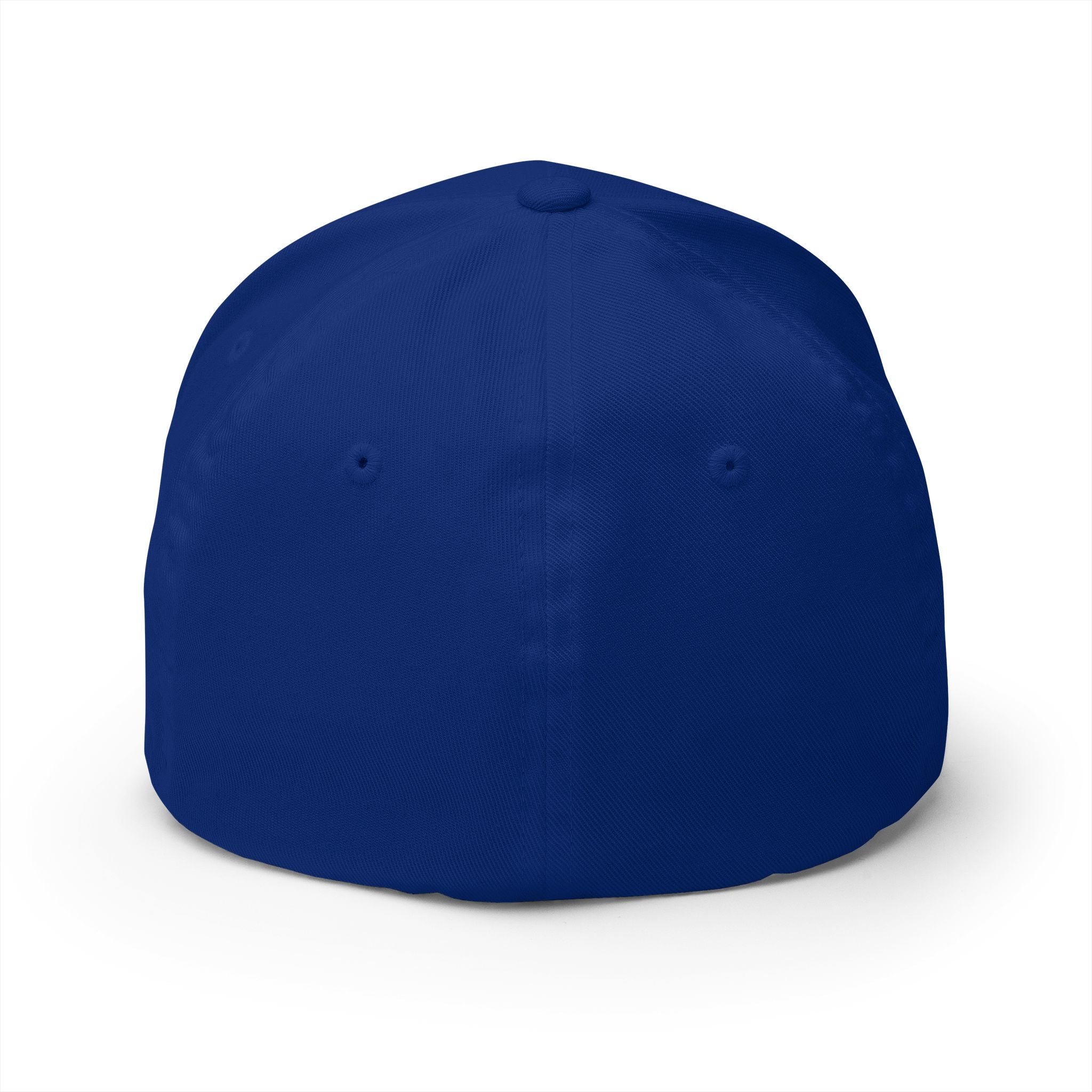 Scotland Blue 'Tartan Army' song lyrics inspired Cap