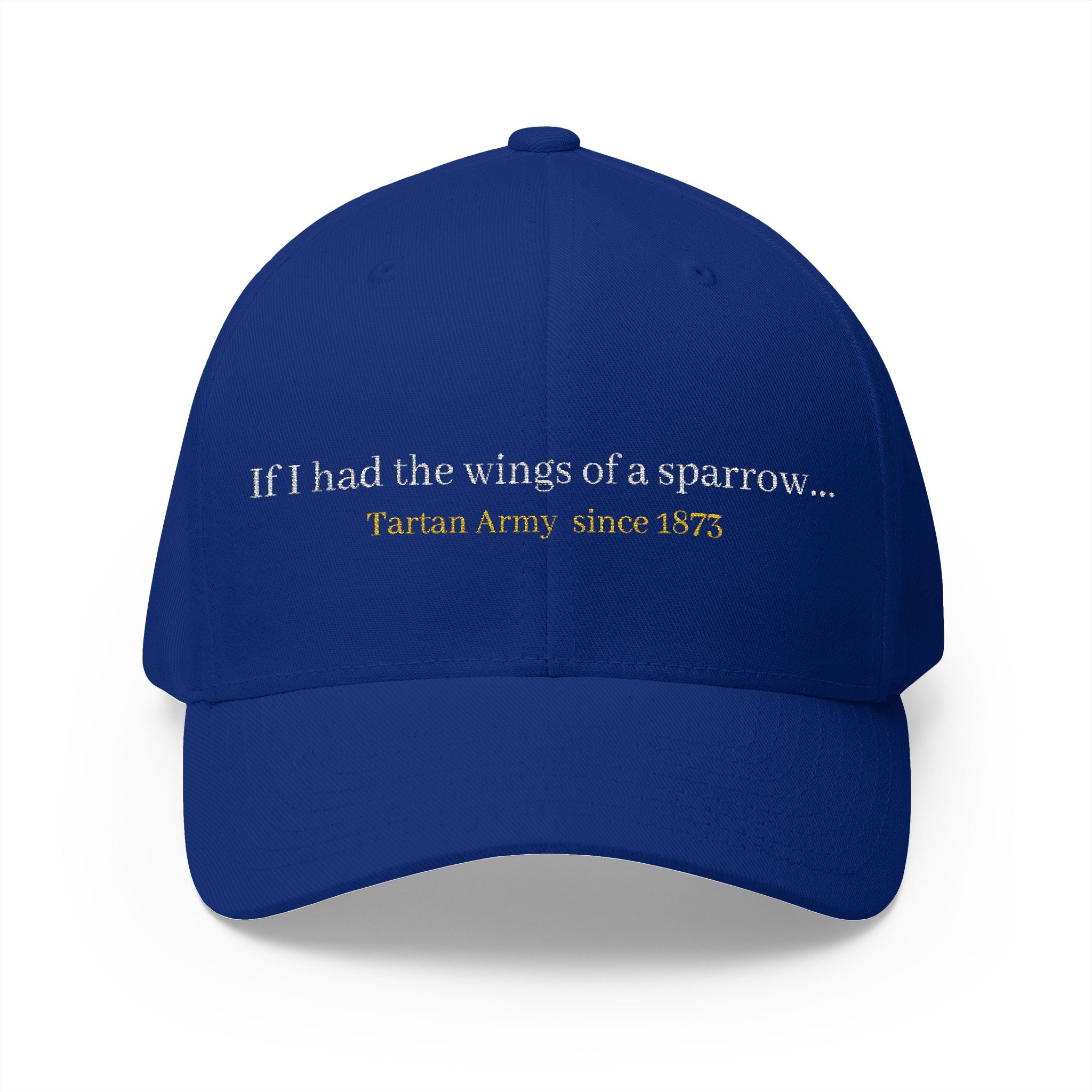 Scotland Blue 'Tartan Army' song lyrics inspired Cap