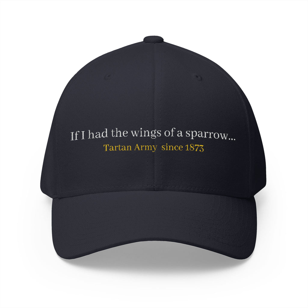 Scotland Blue 'Tartan Army' song lyrics inspired Cap
