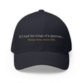 Scotland Blue 'Tartan Army' song lyrics inspired Cap