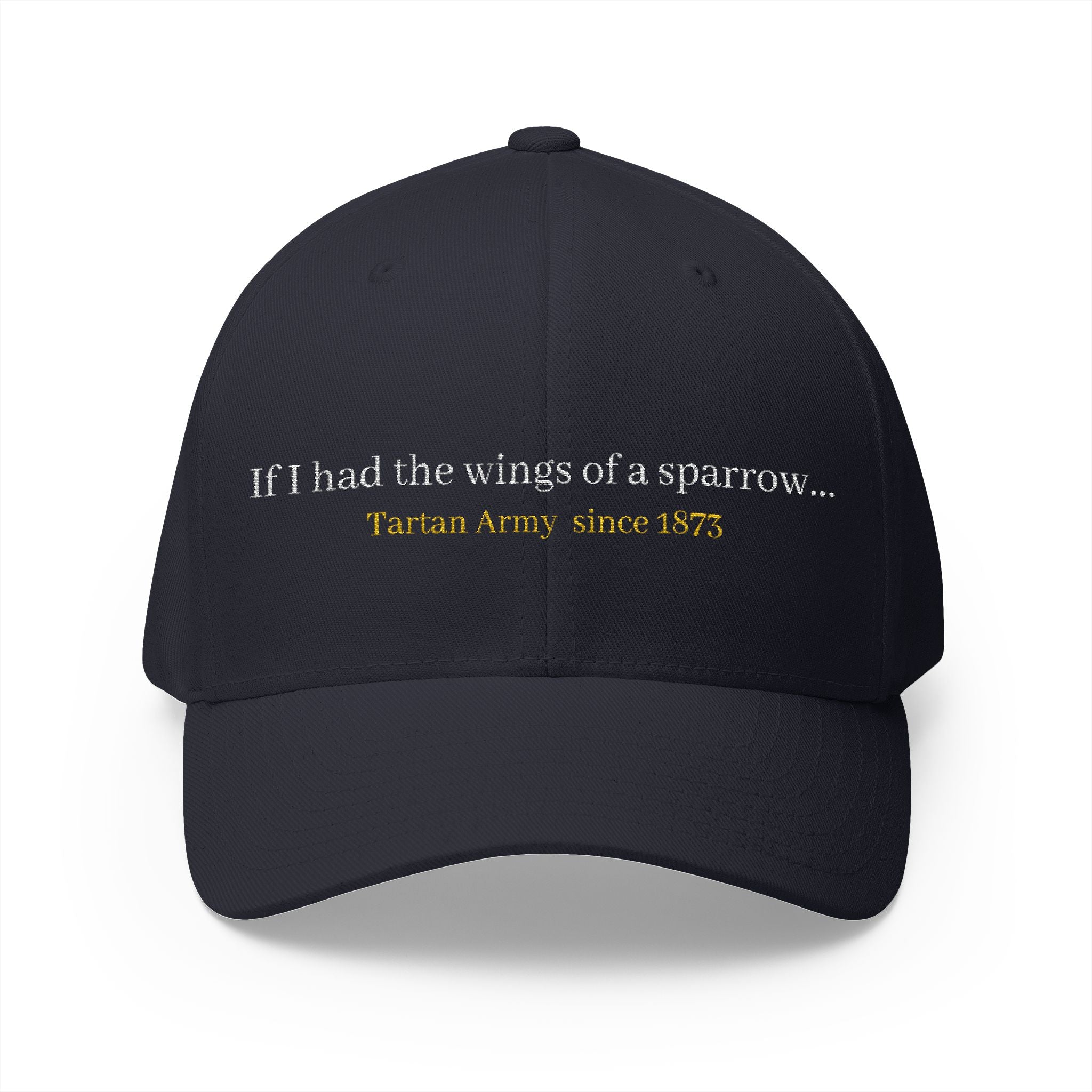 Scotland Blue 'Tartan Army' song lyrics inspired Cap
