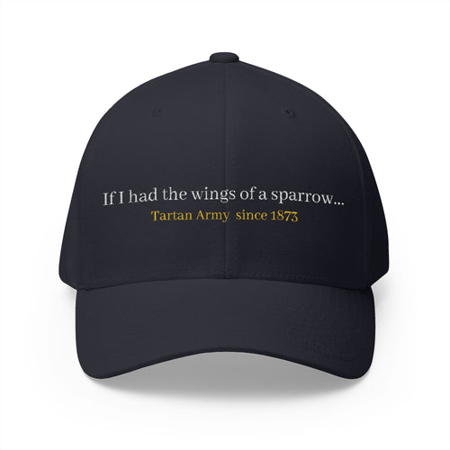 Scotland Blue 'Tartan Army' song lyrics inspired Cap